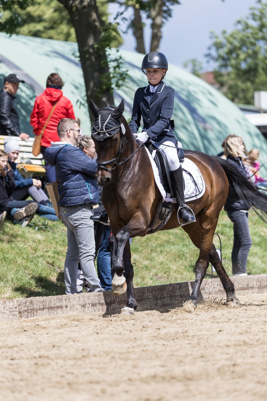 Bild 522 - Pony Akademie Turnier